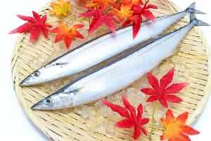 膝のために摂りたいビタミンDを含む食べ物