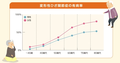 変形性膝関節症の男女割合