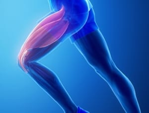 膝が伸びない原因のひとつ大腿四頭筋