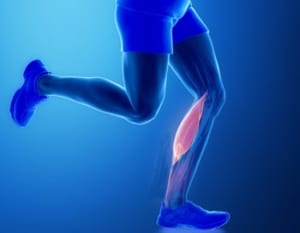 膝が伸びない原因のひとつ腓腹筋